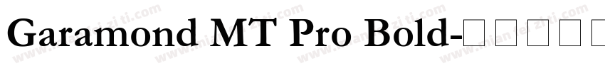 Garamond MT Pro Bold字体转换
